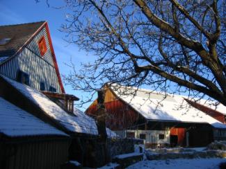 Alpakahof im Winter